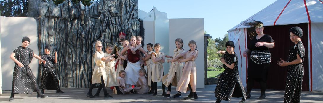 Kansalaisia ja sotilaat pidättivät Aladdinin